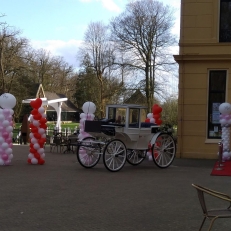  Ballonvertier Decoratie en Partyverhuur Ballonnenbogen, slingers rode lopers en meer