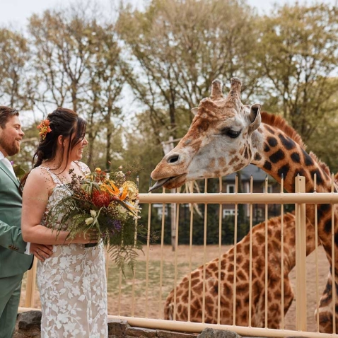 Trouwlocaties Ouwehands Dierenpark Rhenen