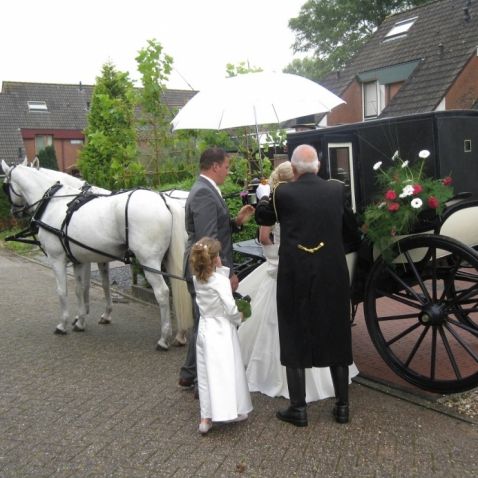 Trouwvervoer Stalhouderij Biessum