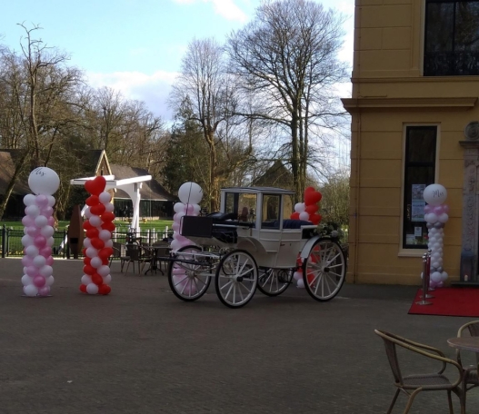 Ballonvertier Decoratie en Partyverhuur Ballonnenbogen, slingers rode lopers en meer